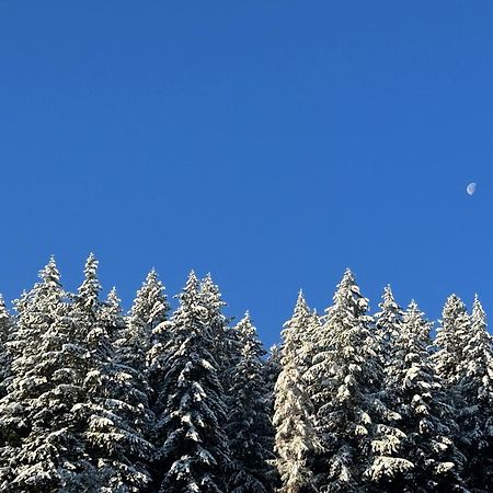 Ferienwohnung Kuckucksnest Bad Wildbad Exterior foto