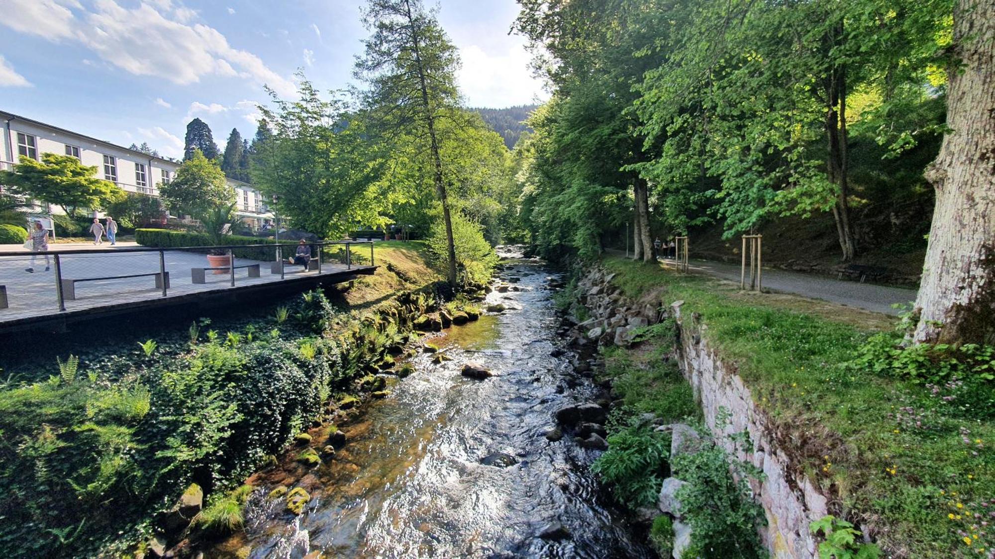 Ferienwohnung Kuckucksnest Bad Wildbad Exterior foto