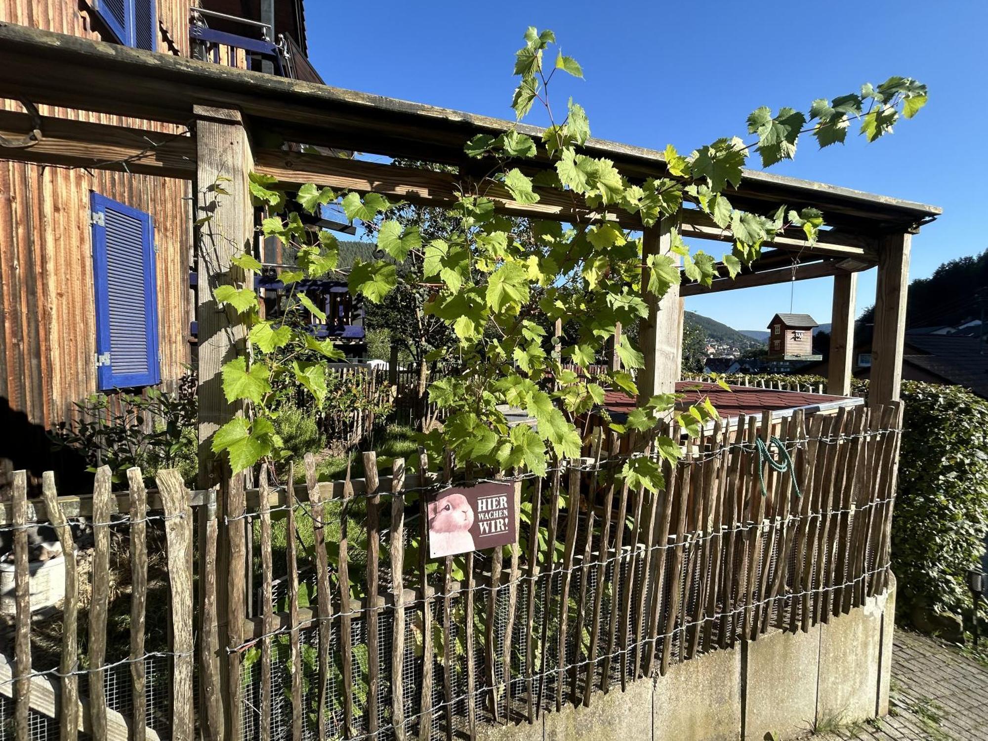 Ferienwohnung Kuckucksnest Bad Wildbad Exterior foto